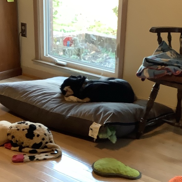 Smoke free - Animal friendly home - Fast shipping - Picture 6 of 7